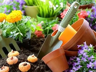 Plantpots and trowel